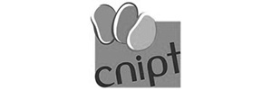 CNIPT