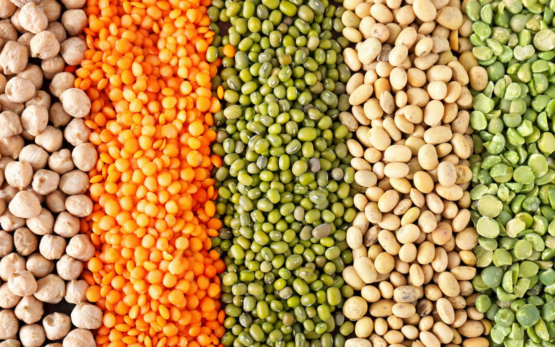 Legumes